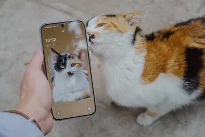 BetCart Casino Mobile App